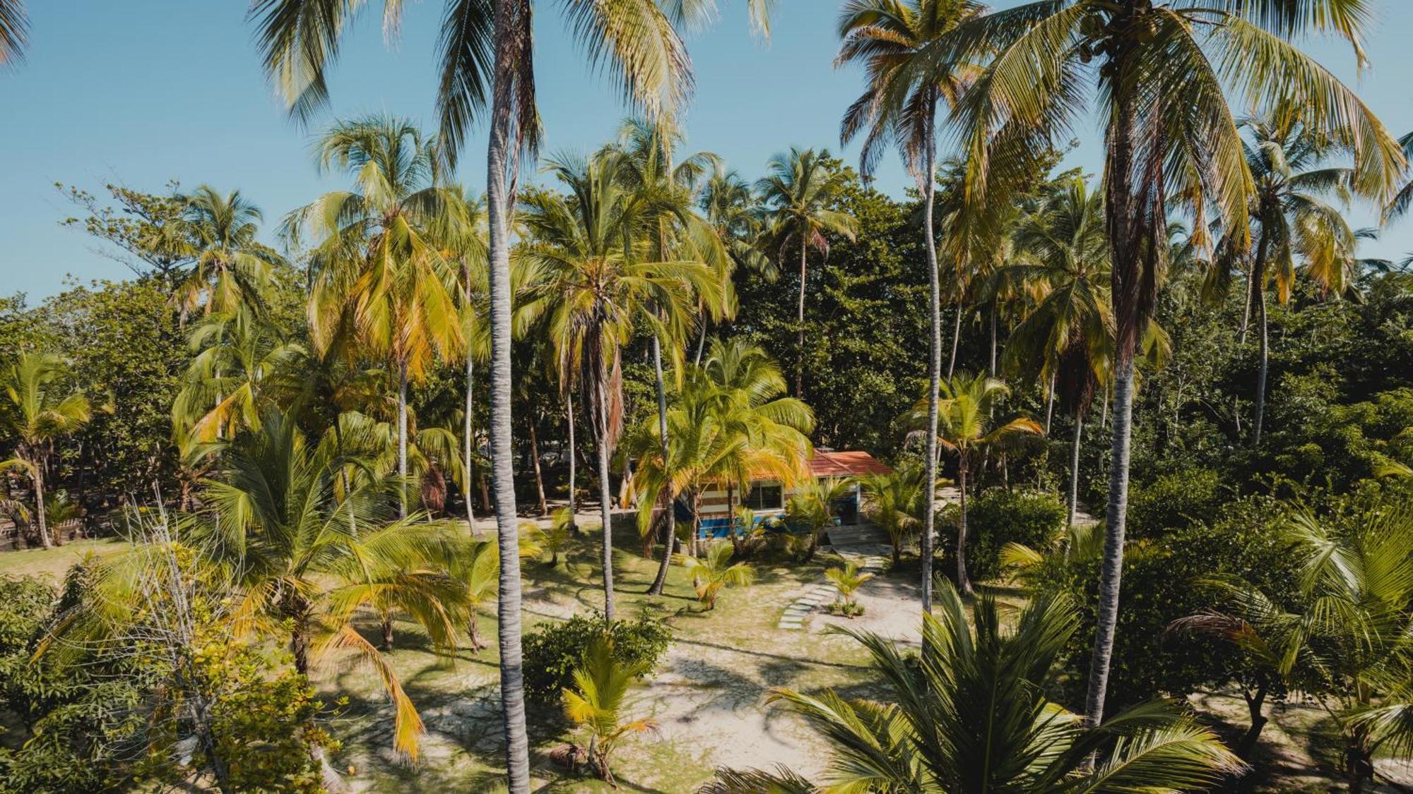 Hotel La Mar De Bien Buritaca Exteriér fotografie
